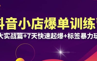 抖音小店爆单训练营VIP线下课：6大实战篇 7天快速起爆 标签暴力玩法(32节)