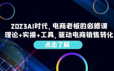 2023AI·时代，电商老板的必修课，理论 实操 工具，驱动电商销售转化