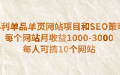 暴利单品单页网站项目和SEO策略 每个网站月收益1000-3000 每人可搞10个