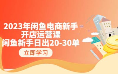 2023年闲鱼电商新手开店运营课：闲鱼新手日出20-30单（18节-实战干货）