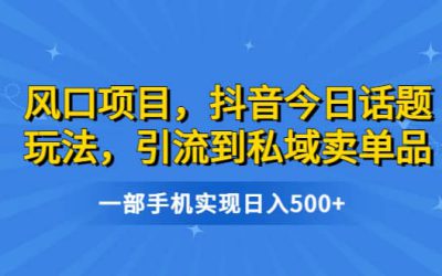 风口项目，抖音今日话题玩法，引流到私域卖单品，一部手机实现日入500