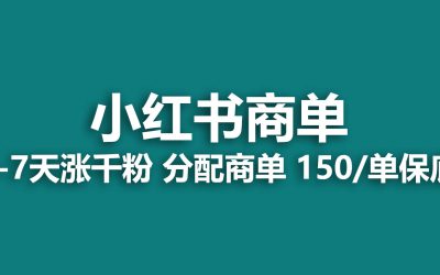 2023最强蓝海项目，小红书商单项目，没有之一