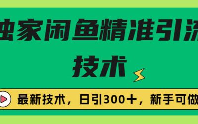 独家闲鱼引流技术，日引300＋实战玩法