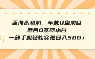 蓝海高利润，车载U盘项目，适合0基础小白，一部手机轻松实现日入500