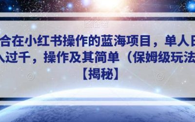 适合在小红书操作的蓝海项目，单人日收入过千，操作及其简单（保姆级玩法）【揭秘】