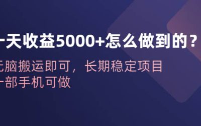 一天收益5000 怎么做到的？无脑搬运即可，长期稳定项目，一部手机可做