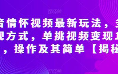 抖音情怀视频最新玩法，多种变现方式，单挑视频变现1000 ，操作及其简单【揭秘】