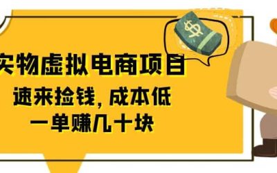 东哲日记：全网首创实物虚拟电商项目，速来捡钱，成本低，一单赚几十块！