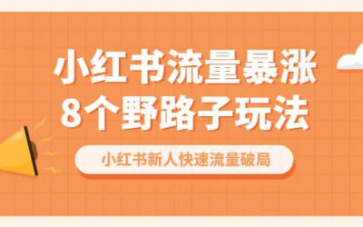 小红书流量-暴涨8个野路子玩法：小红书新人快速流量破局（8节课）