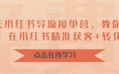 16天-小红书 导流接单营，教你引爆流量，在小红书精准获客 转化成交