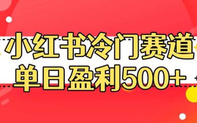 小红书冷门赛道，单日盈利500 【揭秘】