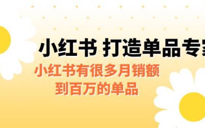 某公众号付费文章《小红书 打造单品专家》小红书有很多月销额到百万的单品