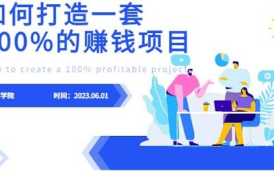 最新6月份《如何设计一套100%赚钱的项目系统》