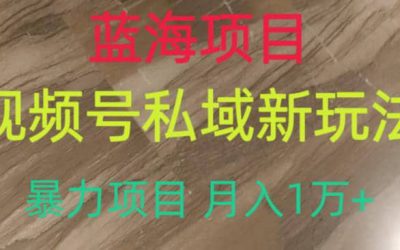 蓝海项目，视频号私域新玩法，暴力项目月入1万 【揭秘】