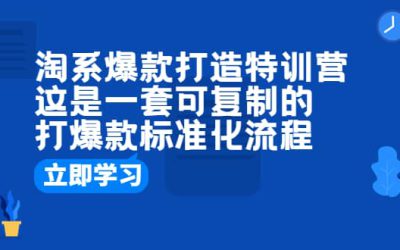 淘系爆款打造特训营：这是一套可复制的打爆款标准化流程