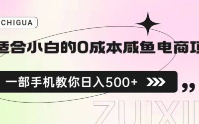 适合小白的0成本咸鱼电商项目，一部手机，教你如何日入500 的保姆级教程