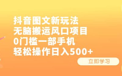 抖音图文新玩法，无脑搬运风口项目，0门槛一部手机轻松操作日入500