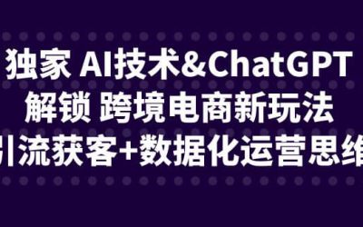 独家 AI技术ChatGPT解锁 跨境电商新玩法，引流获客 数据化运营思维