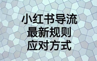 小红书导流最新规则应对方式【揭秘】