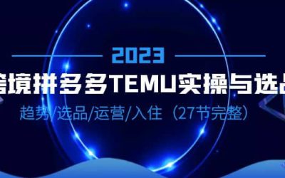 2023跨境·拼多多·TEMU实操与选品，趋势·选品·运营·入住（27节完整）