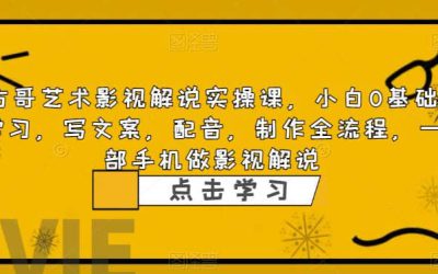 影视解说实战课，小白0基础 写文案 配音 制作全流程 一部手机做影视解说