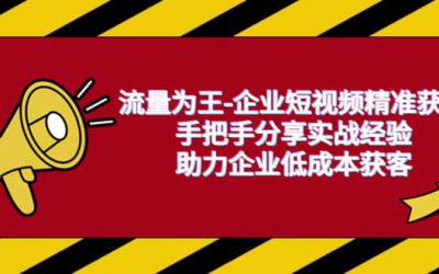 流量为王-企业 短视频精准获客，手把手分享实战经验，助力企业低成本获客