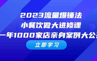 2023流量 爆锤法，小餐饮做大进修课，一年1000家店亲身案例大公开