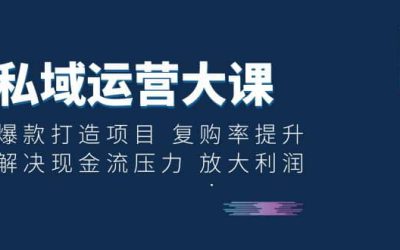 私域运营大课：爆款打造项目 复购率提升 解决现金流压力 放大利润