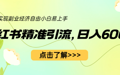 小红书精准引流，小白日入600 ，轻松实现副业经济自由（教程 1153G资源）