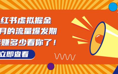 8月风口项目，小红书虚拟法考资料，一部手机日入1000 （教程 素材）