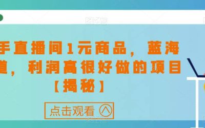 快手直播间1元商品，蓝海赛道，利润高很好做的项目【揭秘】