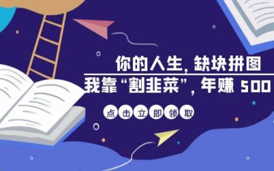 某高赞电子书《你的 人生，缺块 拼图——我靠“割韭菜”，年赚 500 万》