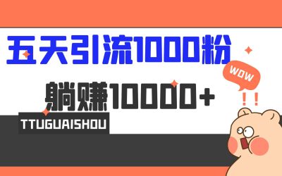 5天引流1000 ，赚了1w