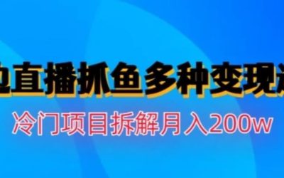 水边直播抓鱼，多种变现途径冷门项目，月入200w拆解【揭秘】