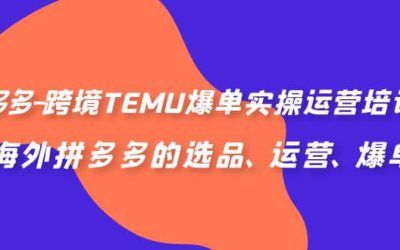 拼多多-跨境TEMU爆单实操运营培训班，海外拼多多的选品、运营、爆单