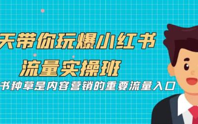 5天带你玩爆小红书流量实操班，小红书种草是内容营销的重要流量入口