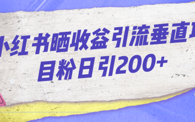 小红书晒收益图引流垂直项目粉日引200