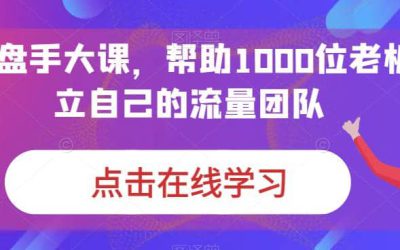 IP-操盘手大课，帮助1000位老板建立自己的流量团队（13节课）