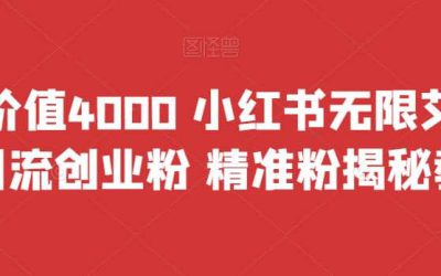 首发价值4000 小红书无限艾特暴力引流创业粉 精准粉揭秘教程