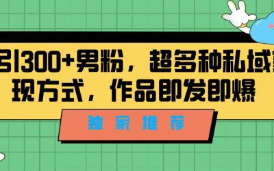 独家推荐！日引300 男粉，超多种私域变现方式，作品即发即报