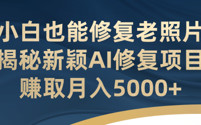 小白也能修复老照片！揭秘新颖AI修复项目，赚取月入5000