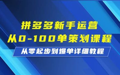 拼多多新手运营从0-100单策划课程，从零起步到爆单详细教程