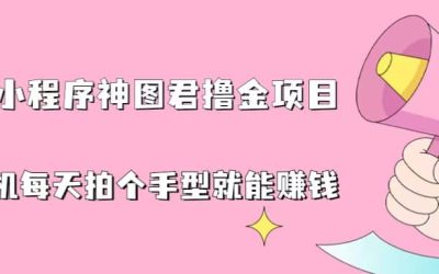 抖音小程序神图君撸金项目，用手机每天拍个手型挂载一下小程序就能赚钱