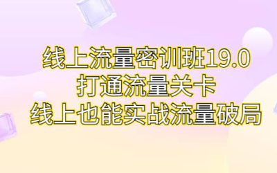 线上流量密训班19.0，打通流量关卡，线上也能实战流量破局