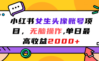 小红书女生头像账号项目，无脑操作，单日最高收益2000