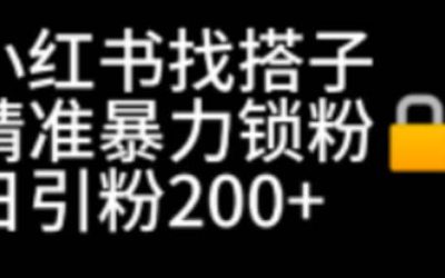 小红书找搭子暴力精准锁粉 引流日引200 精准粉