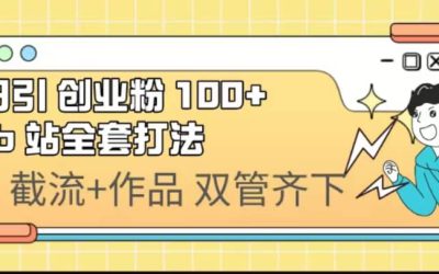 日引创业粉 100  b 站全套打法【实操视频】