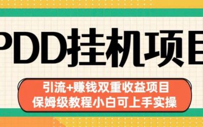 拼多多挂机项目引流 赚钱双重收益项目(保姆级教程小白可上手实操)【揭秘】