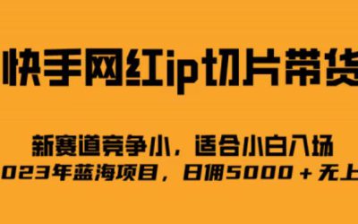 快手网红ip切片新赛道，竞争小事，适合小白 2023蓝海项目