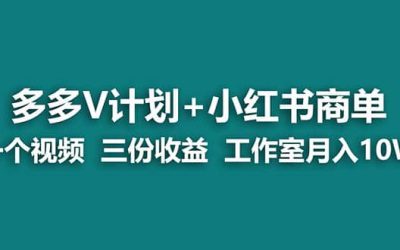 【蓝海项目】多多v计划 小红书商单 一个视频三份收益 工作室月入10w打法